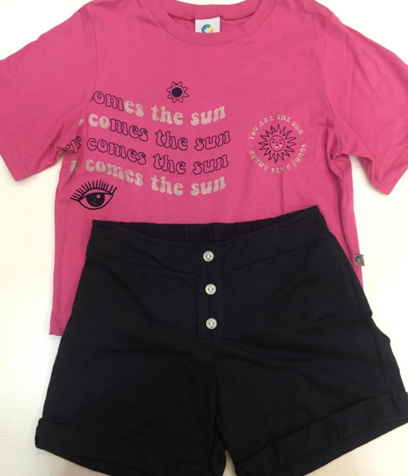 Conjunto Alenice